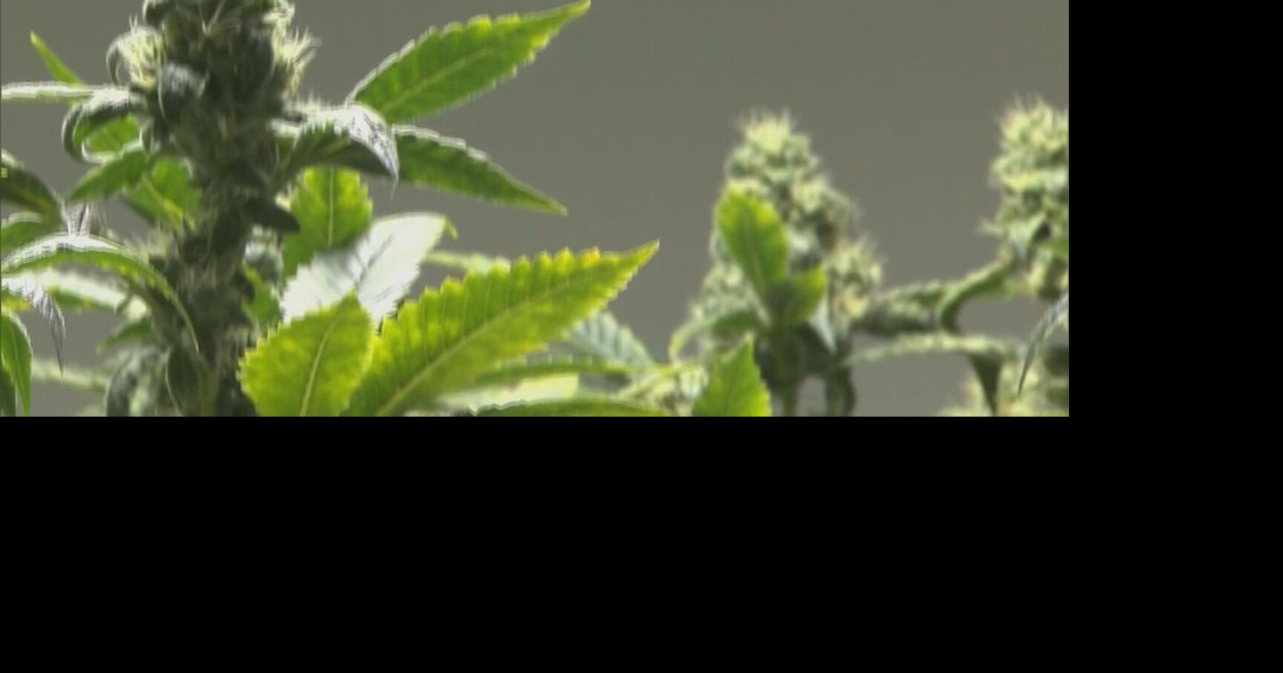 Indiana lawmakers miss deadline, killing key cannabis bill