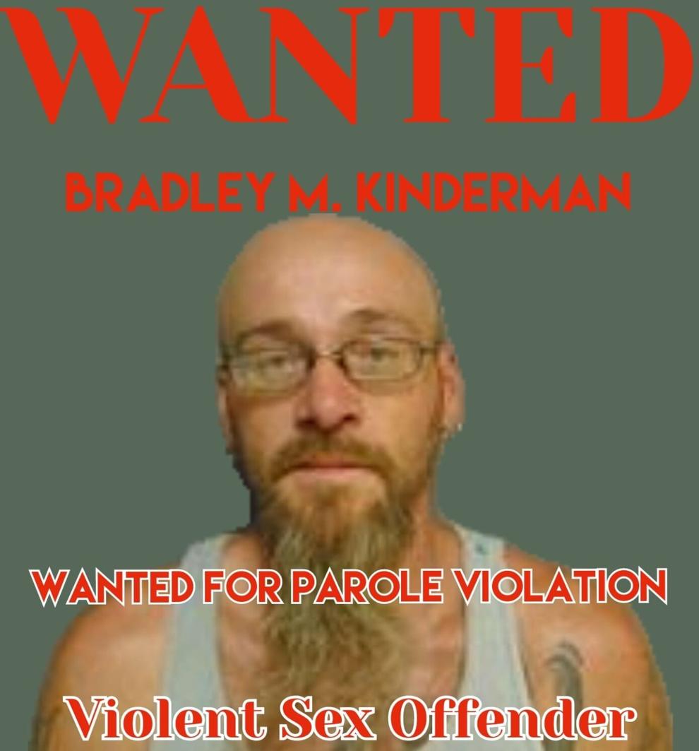 Vermillion County Sheriff arrests sex offender who had been on the run