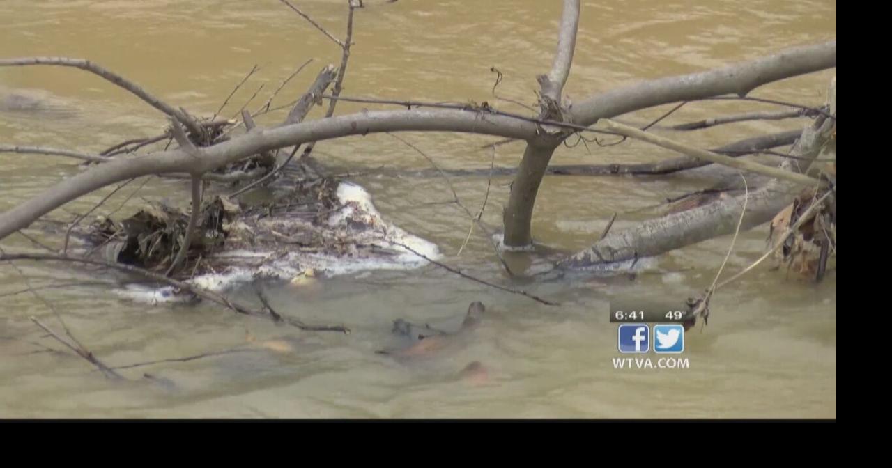 Calhoun City leaders look for ways to address flooding issues News