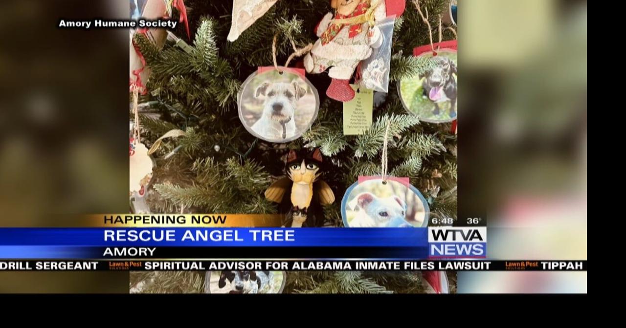 Amory Humane Society puts up Rescue Angel Tree Video