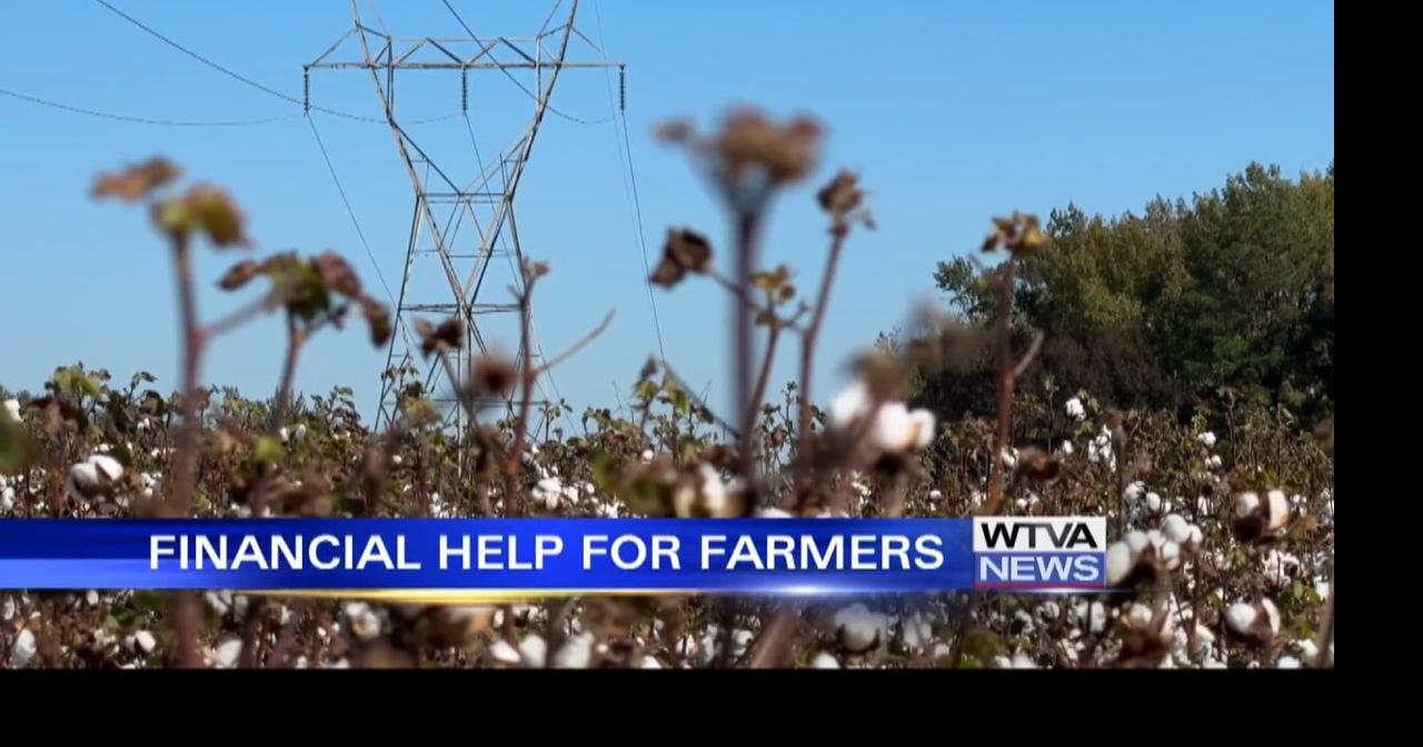 Rep. Trent Kelly speaks on financial help for farmers | Video | wtva.com