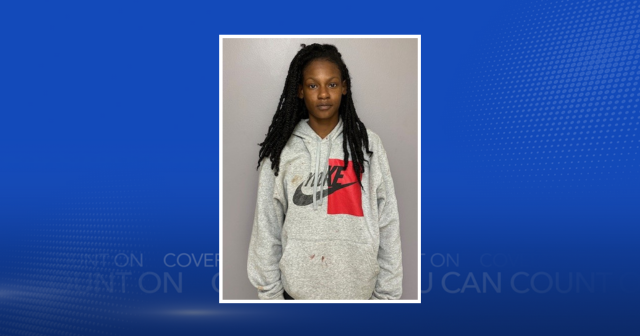Decatur woman arrested after allegedly stabbing boyfriend in domestic ...