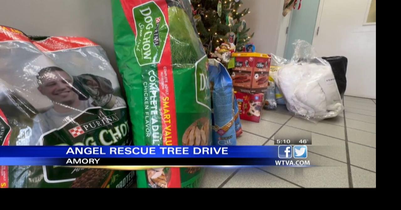 VIDEO Angel trees to benefit Amory Humane Society Video