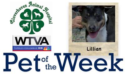 Pet of the Week - Lillian
