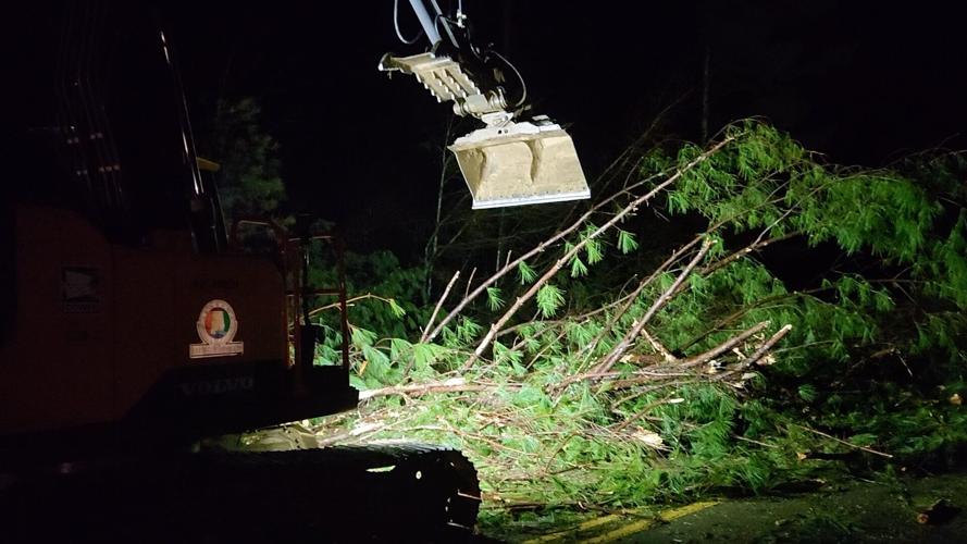 Tornado leaves behind damage in Marion County, Alabama News