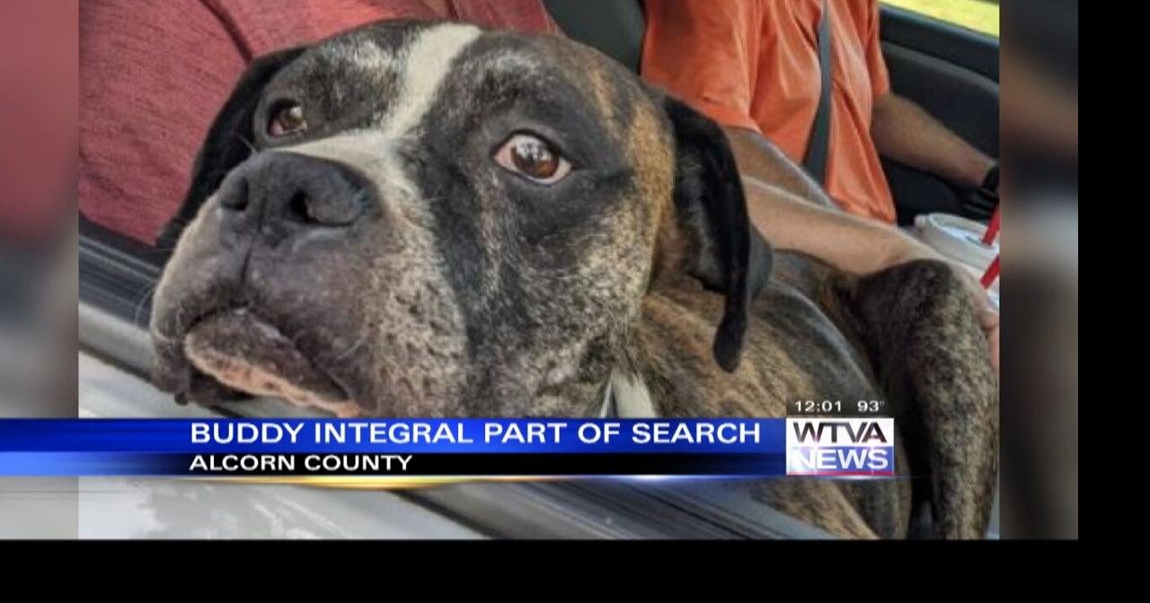 Missing man's dog found in Alcorn County, News