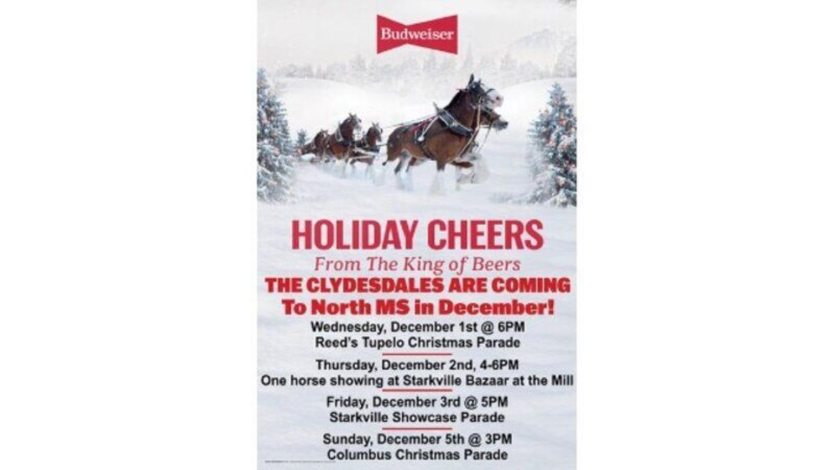 Tupelo Christmas Parade 2022 Famous Clydesdales To Appear In Tupelo Christmas Parade | Local | Wtva.com