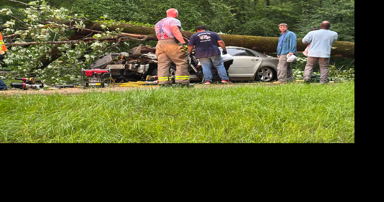 Driver airlifted after tree falls on car on Natchez Trace in central Mississippi
