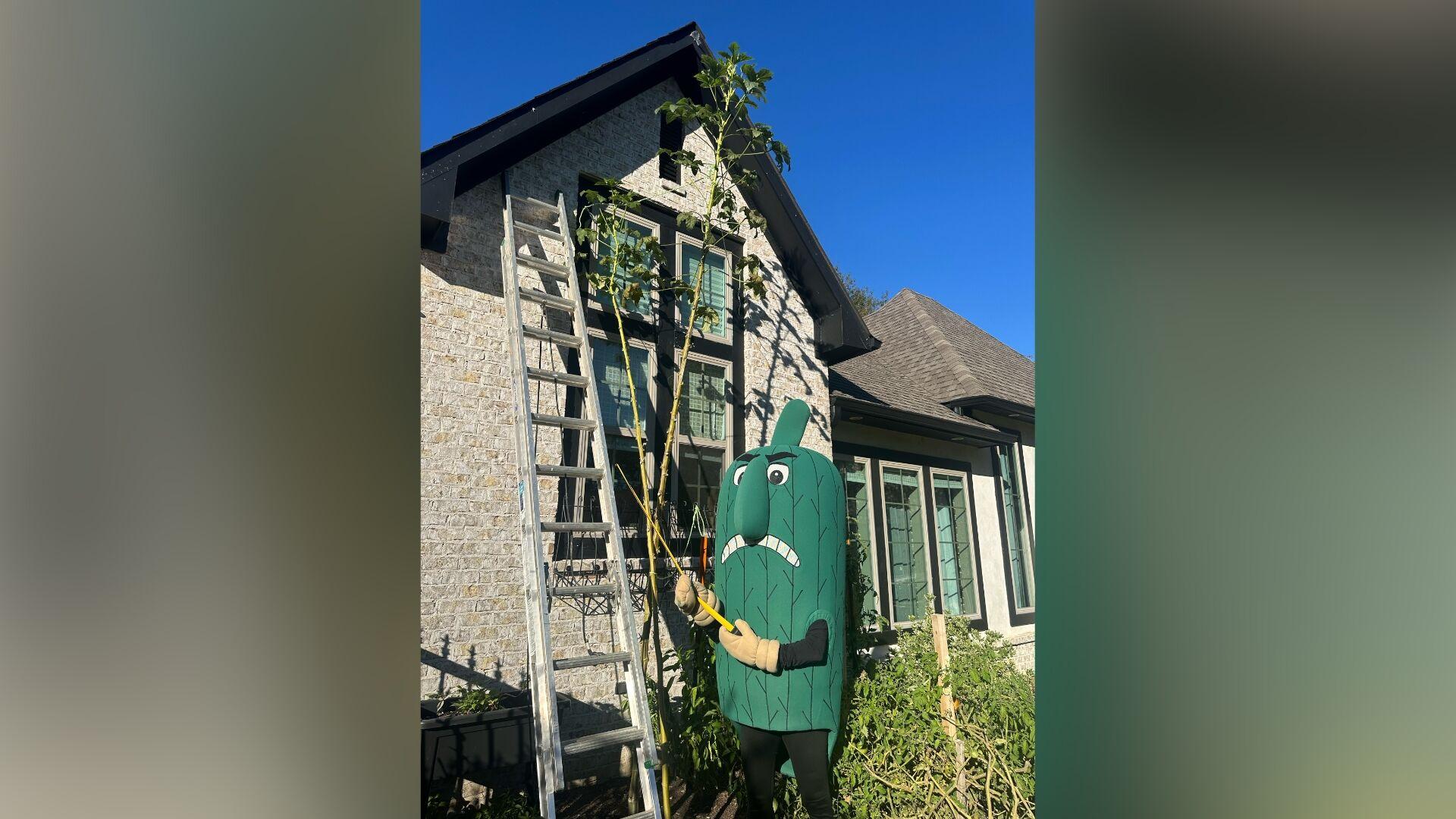 Delta State Fighting Okra mascot visits recordbreaking cousin in