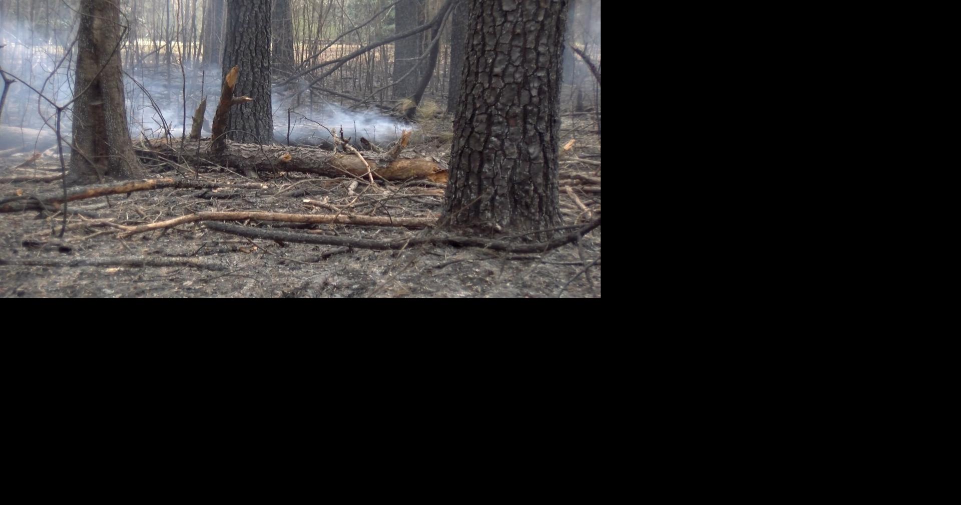 Fire officials worry about wildlife risk across Mississippi