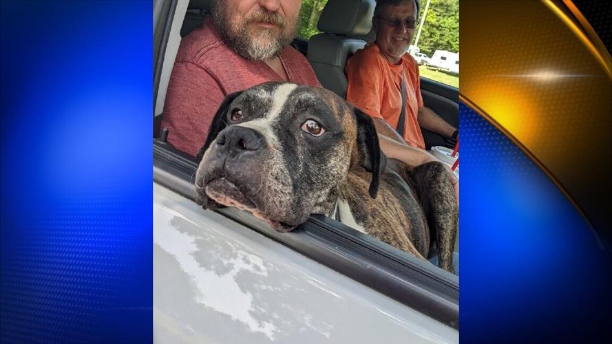 Missing man's dog found in Alcorn County, News