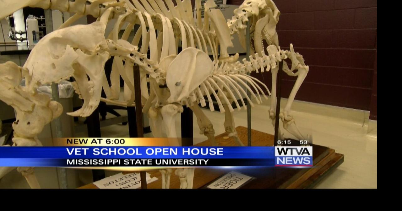 VIDEO MSU vet school holding open house Local