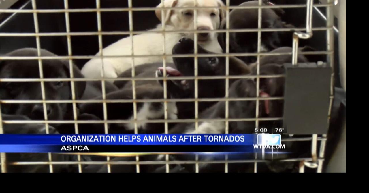 ASPCA committed to helping Amory Humane Society as long as needed