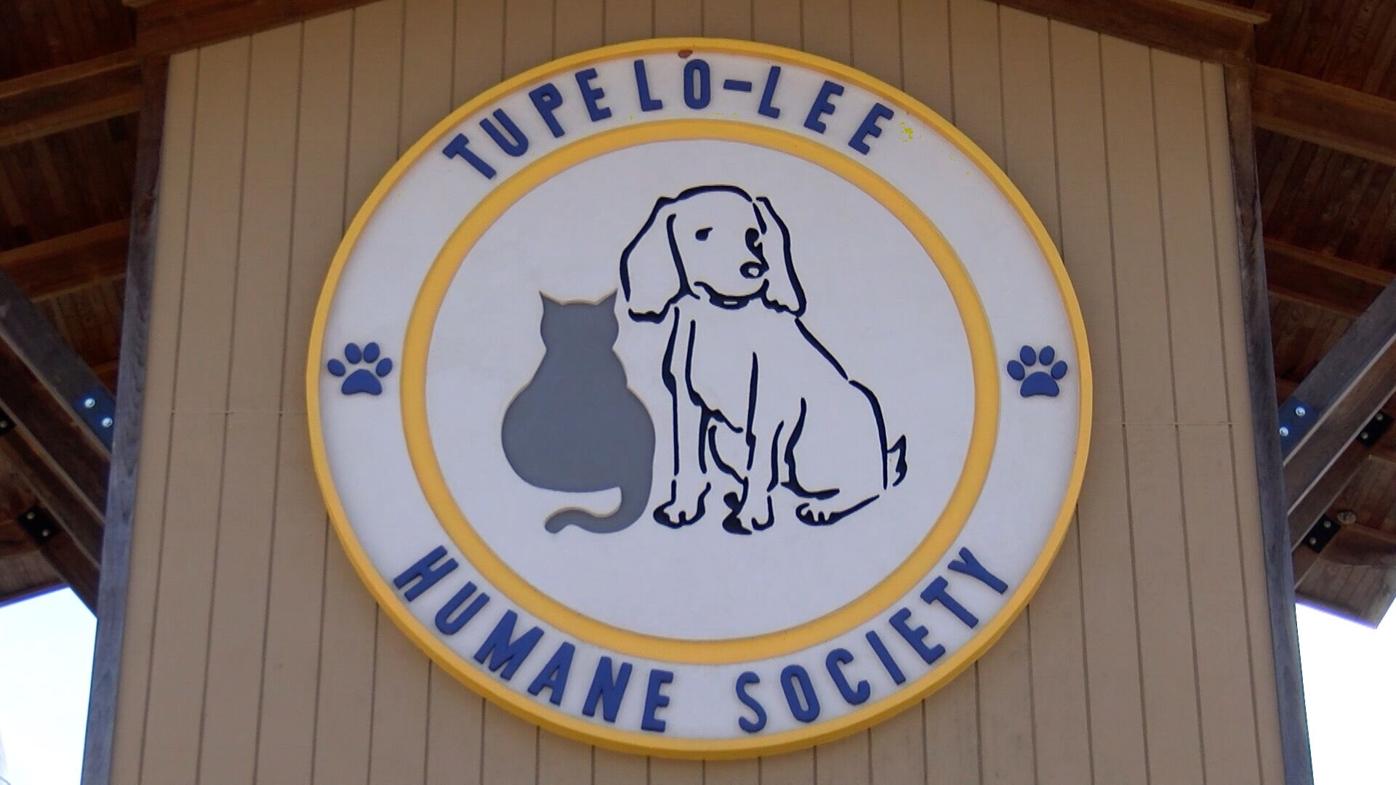 Tupelo humane society kaiser permanente gwinnett comprehensive medical center