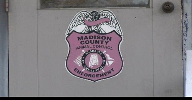 Madison County Animal Control weighs in on two fatal North Alabama dog attacks just days apart | News