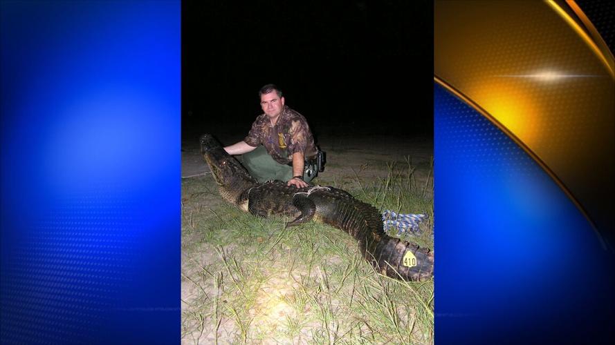 Madison hunters set new alligator state record on Sunday News