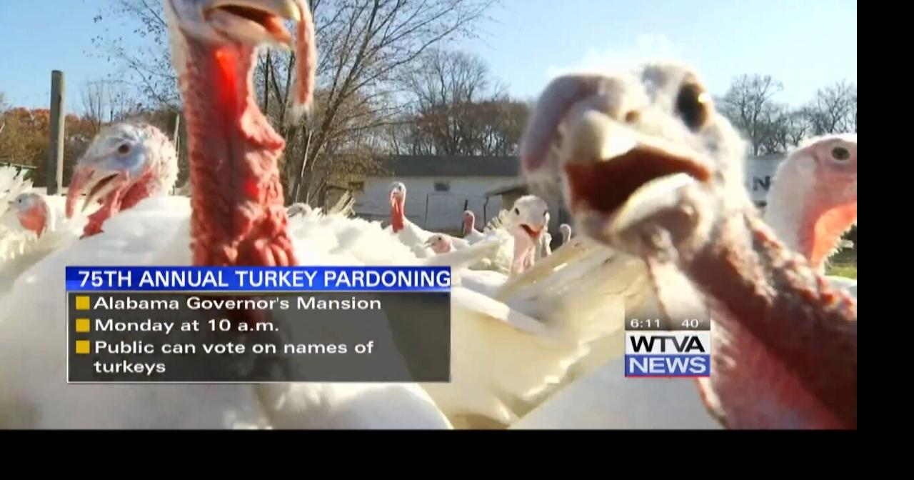 Poll to name turkeys pardoned by Alabama governor Video