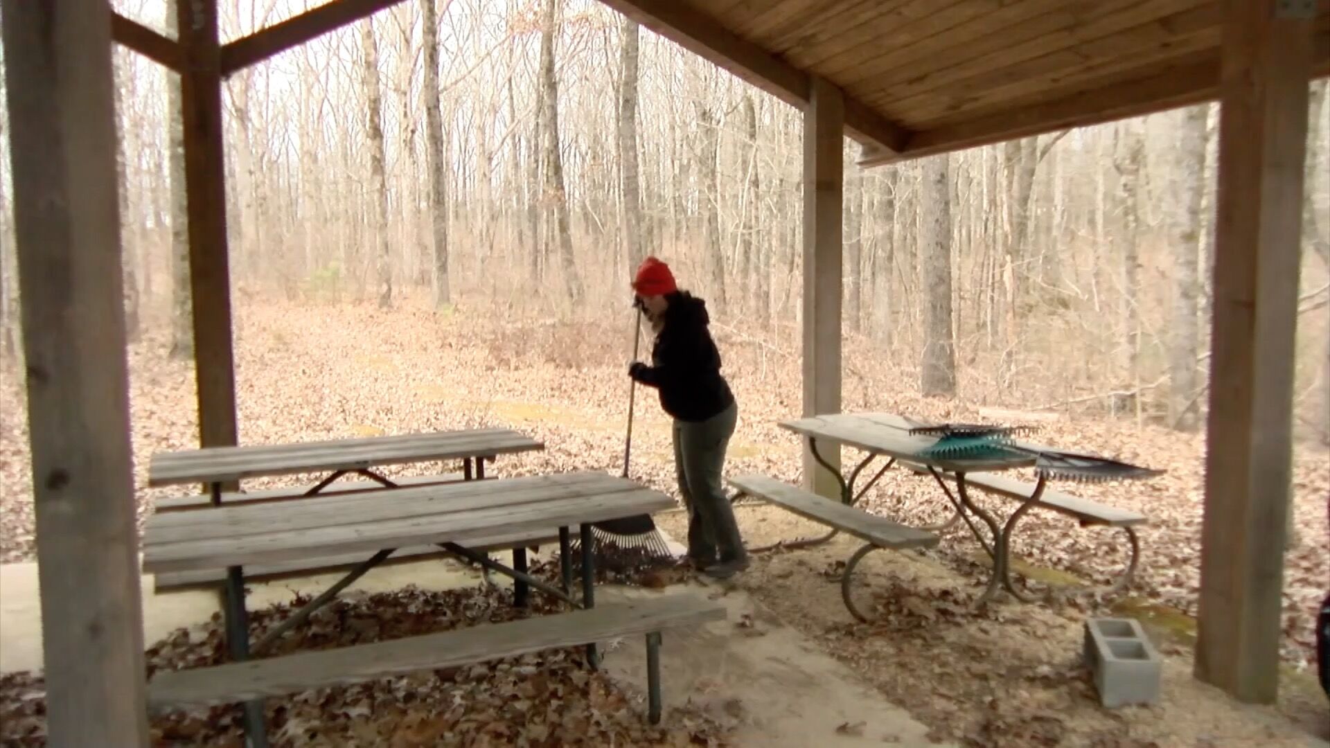 Volunteers Spent MLK Day Of Service At Trail Clean-up | News | Wtva.com