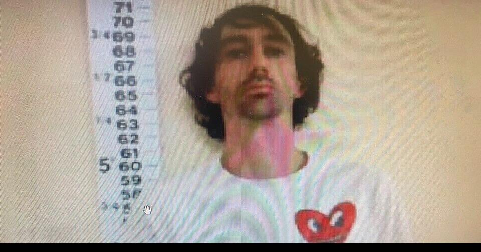 Arrest made after dogs attacked meter reader in Kosciusko News