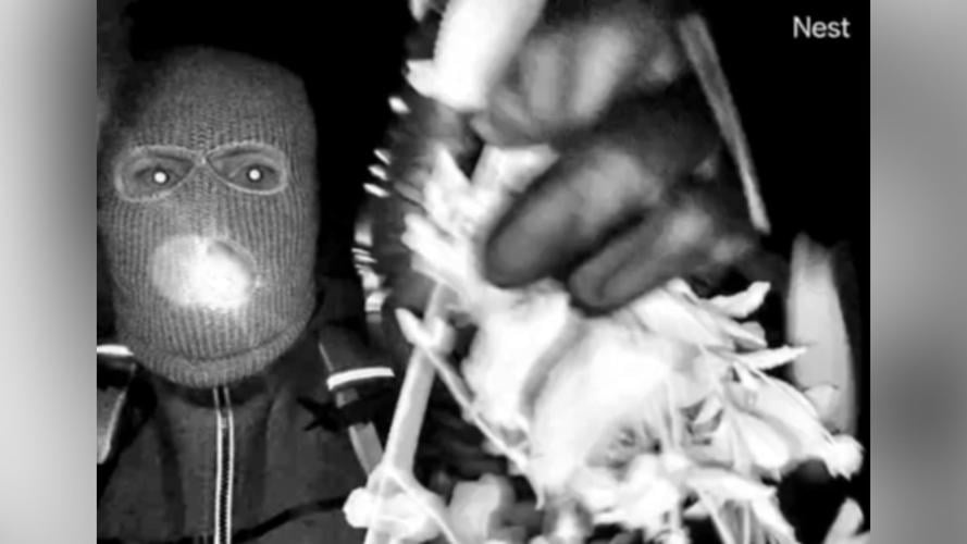 A person has been detained for questioning in the disappearance of Nancy  Guthrie, AP sources say | News | wtva.com