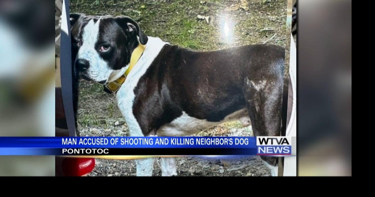 Court date for man accused of killing dog in Pontotoc County postponed