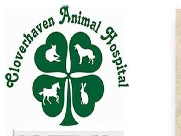 all animal hospital tupelo