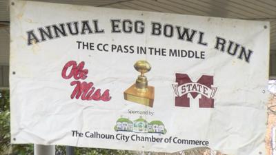 Egg Bowl Run banner
