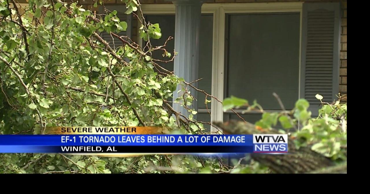 EF-1 tornado leaves behind damage in Alabama | Video | wtva.com