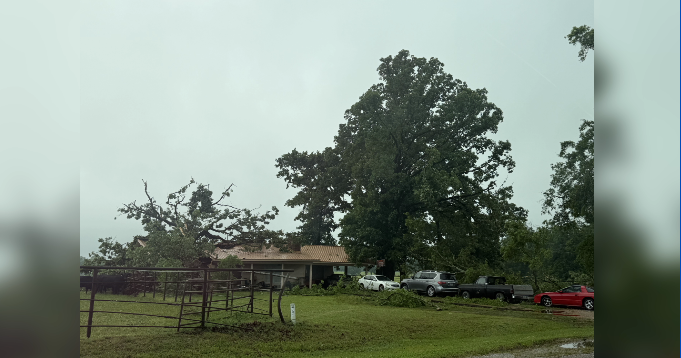 Overnight storms leave behind damage in Shannon