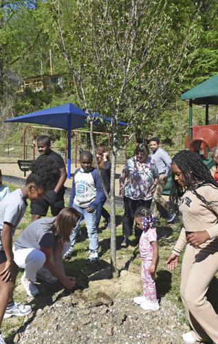 tree planting