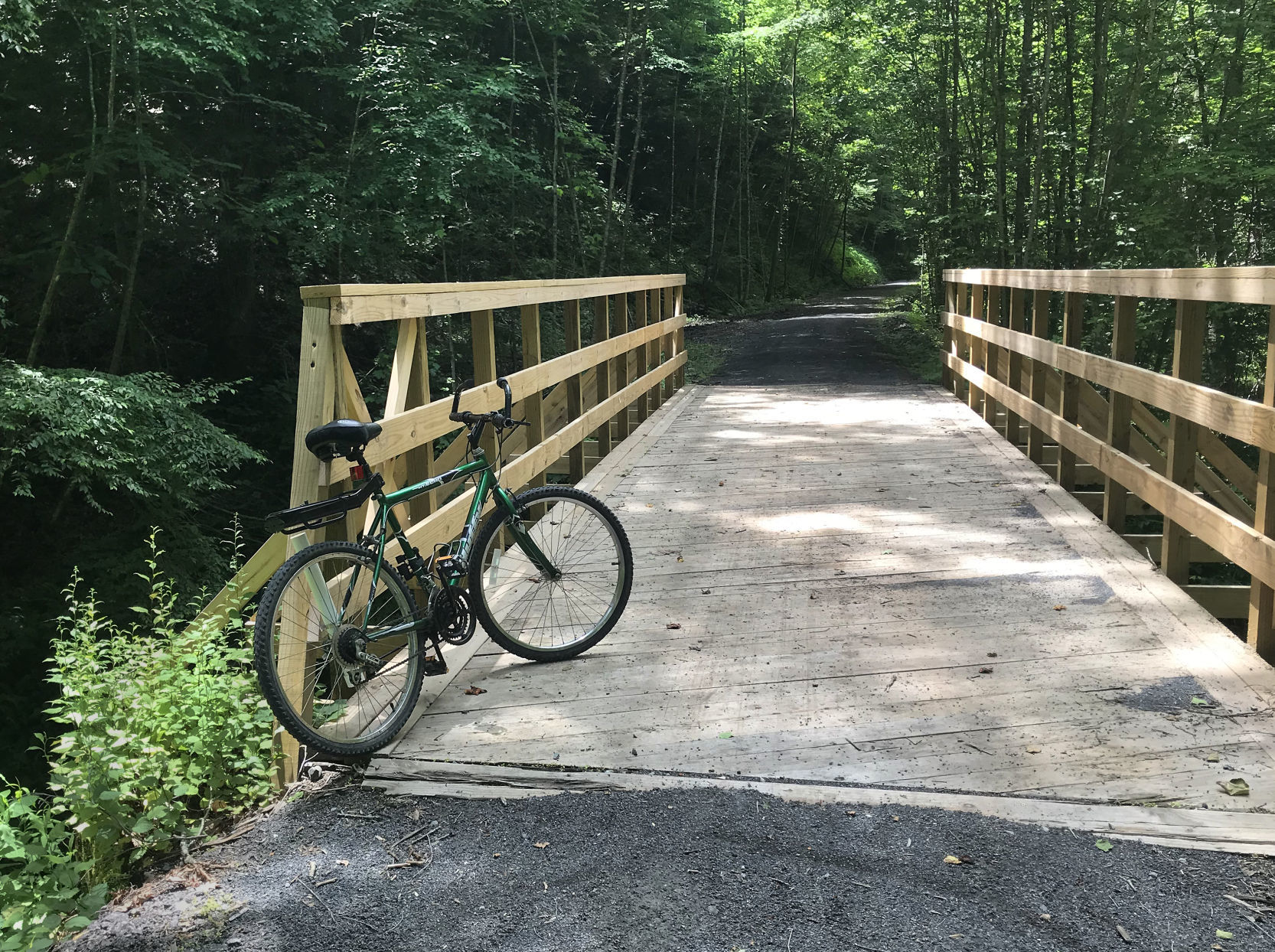 Elk river mountain online bike trail