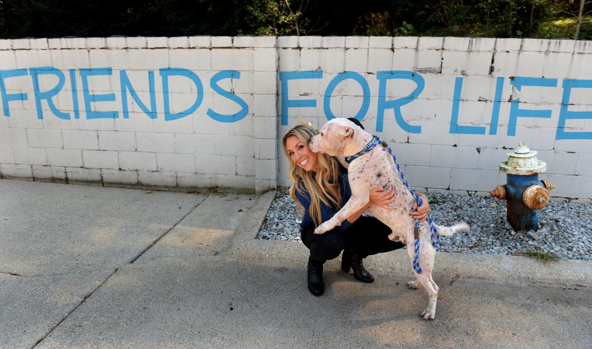 Innerviews Shelter director embraces meanttobe role