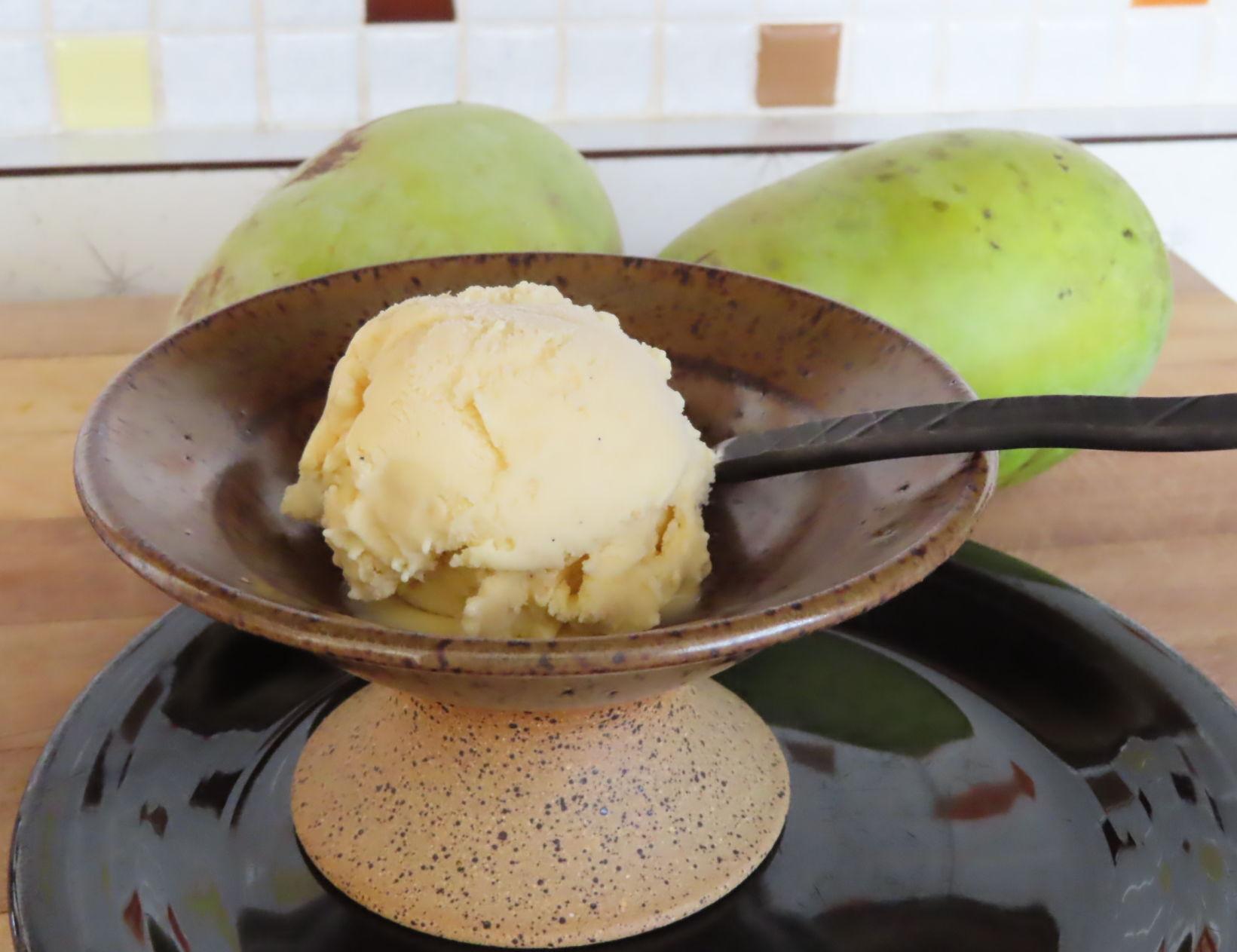Farmer S Table Pawpaw Ice Cream Metro Kanawha Wvgazettemail Com