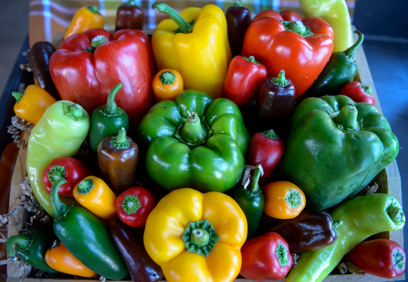 Chilli Pepper Yucatan Vegetable Picture Packet Sweet and Spicy