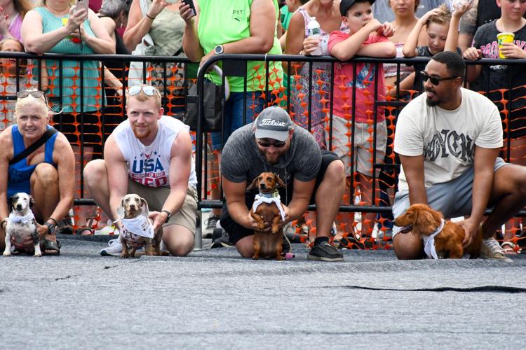 2025 West Virginia Hot Dog Festival