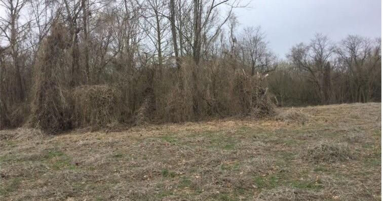 Brewing Locally Image