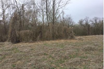 Planned MGS CNP 1 biomass facility site