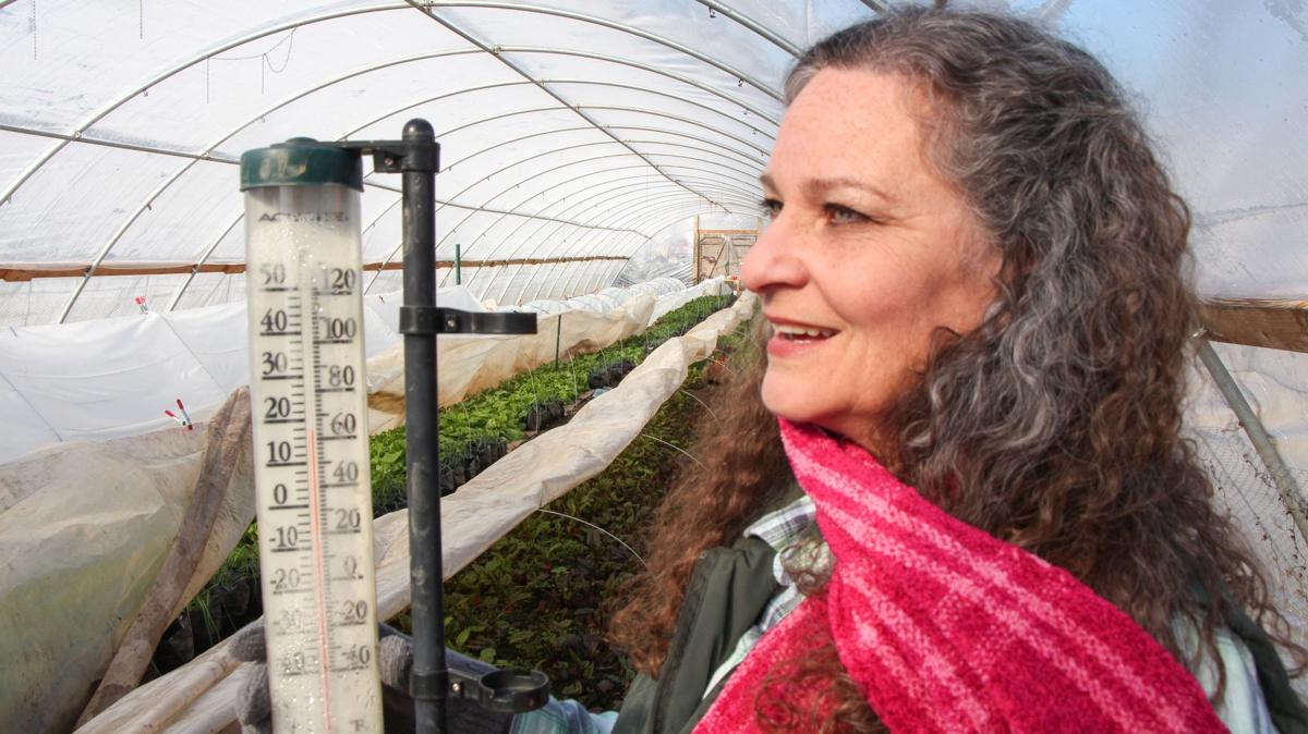 Farmers Market Grows Food In Winter Life Wvgazettemail Com