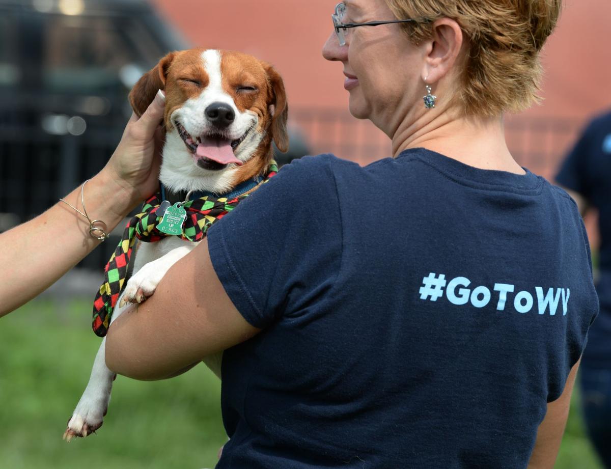 New guide lists droolworthy West Virginia petfriendly vacation sites