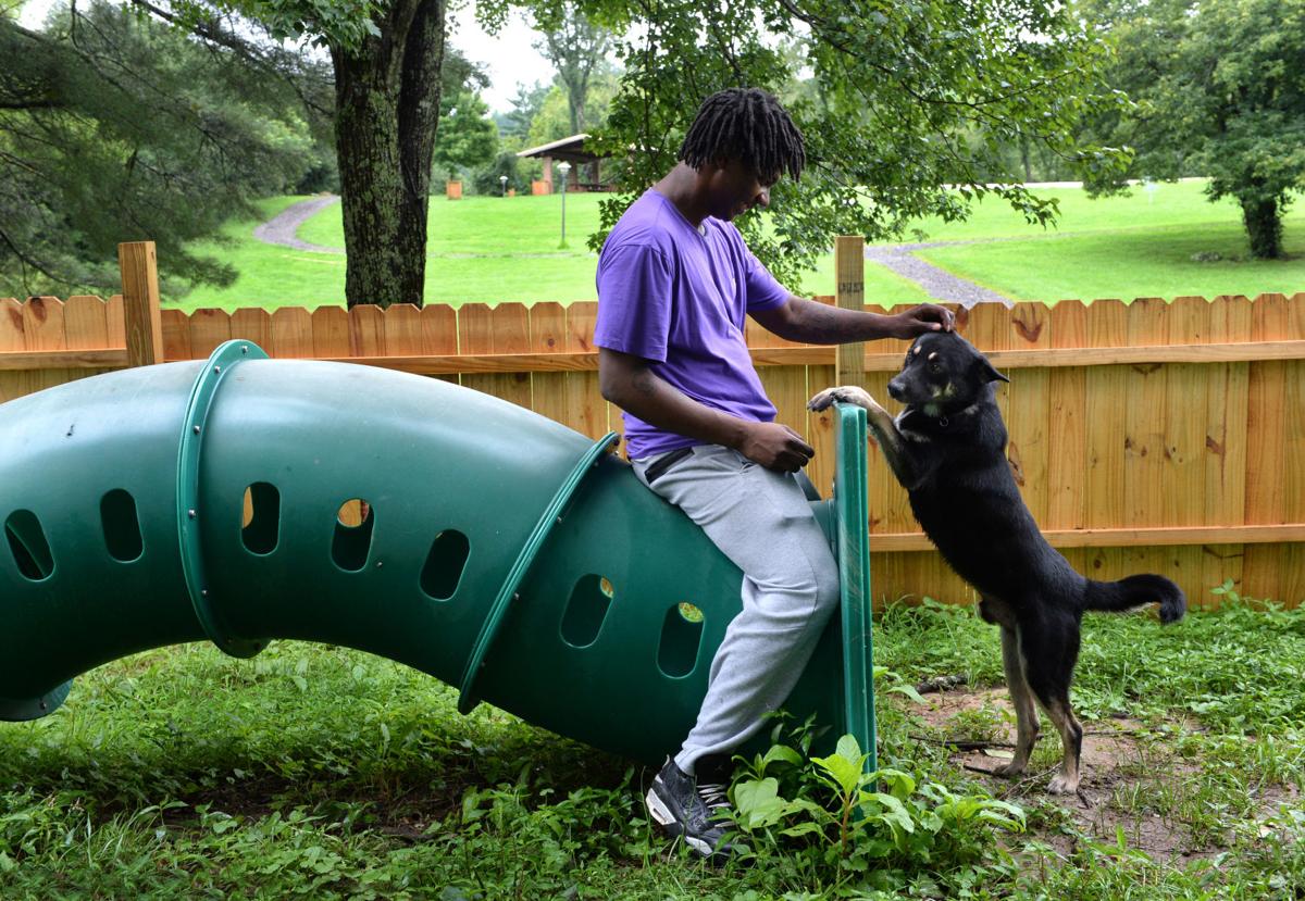 Upgraded dog park opens in Valley Park Putnam Review