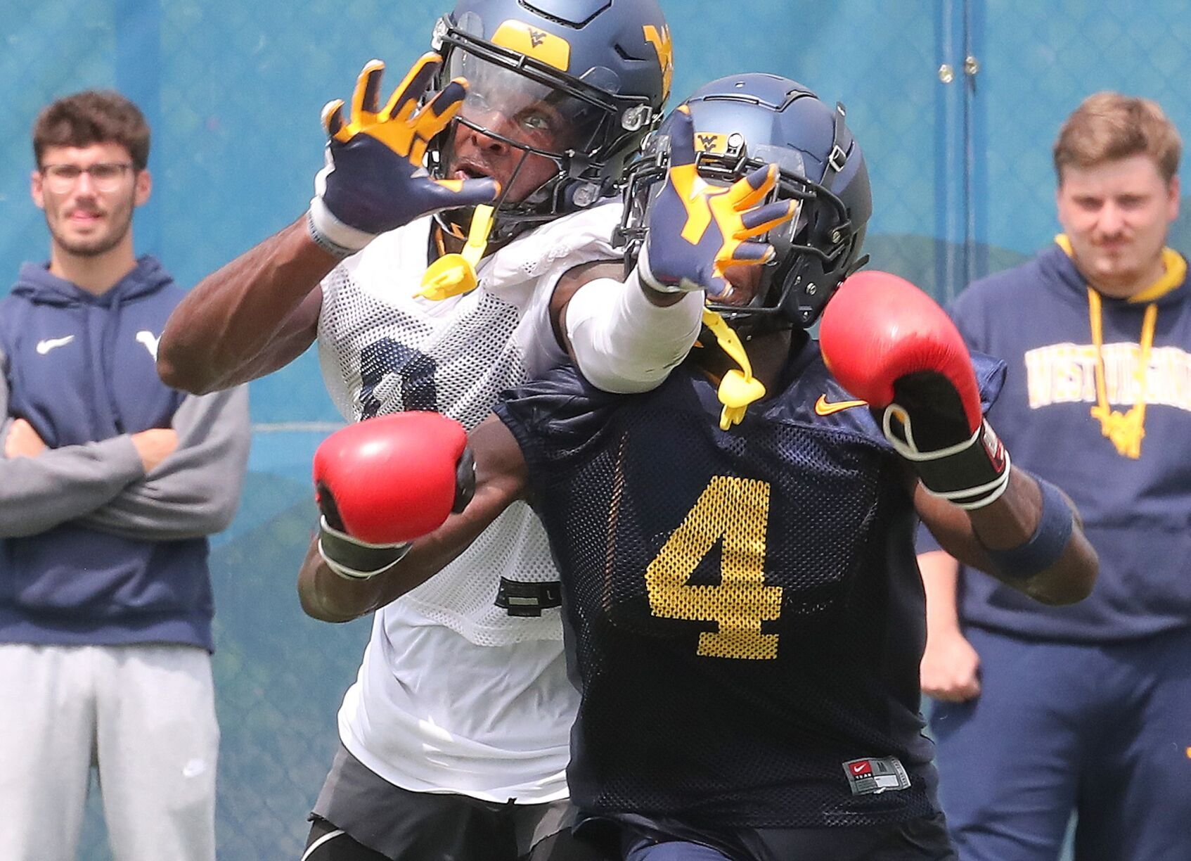 wvu football gloves