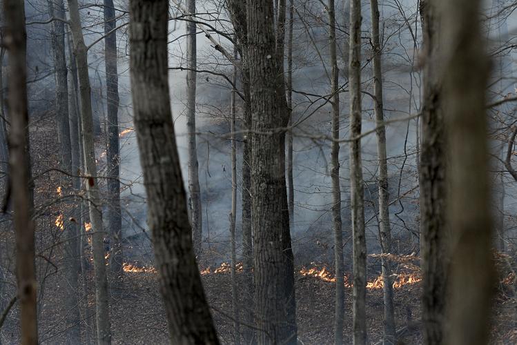 Forest fires battled at New River Kanawha State Forest News