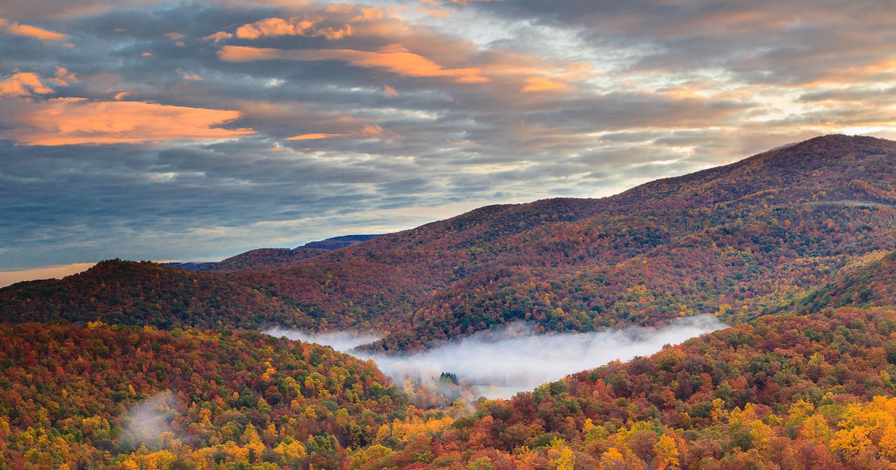 Monongahela National Forest adds Bickle Knob property | Outdoor Pursuits - Vimarsana News