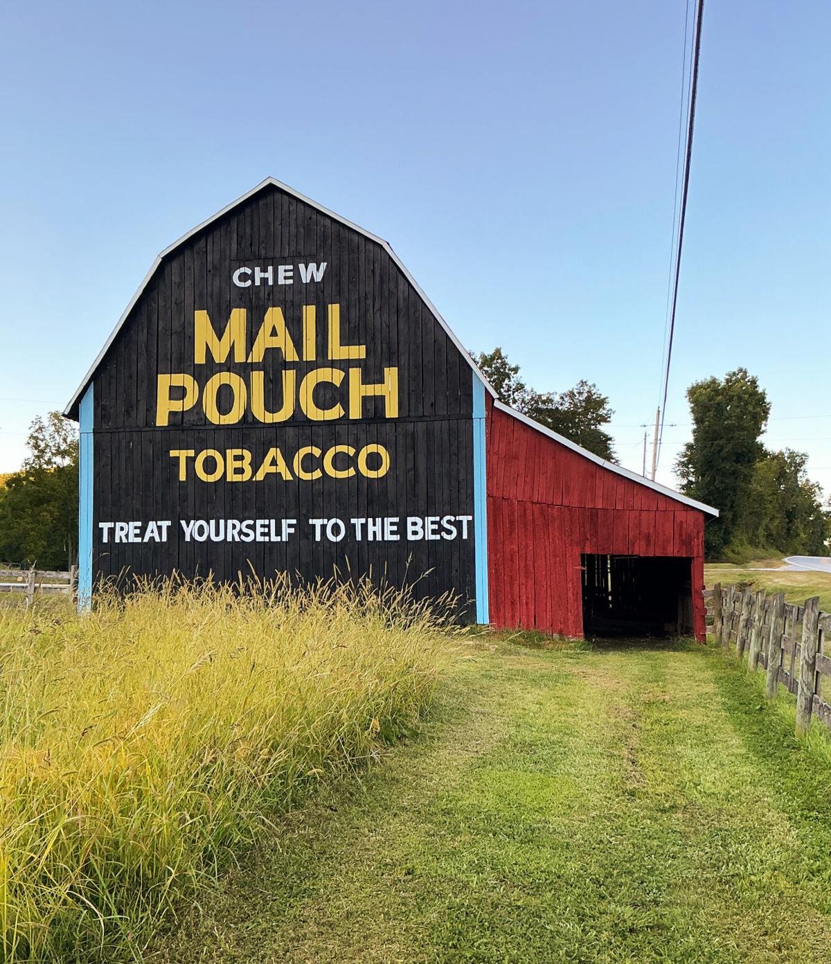 legal age to buy tobacco in washington Illinois & Washington State Raise Tobacco Purchasing Age to 21
