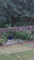 Good 2 Grow: Creating a charming cottage garden