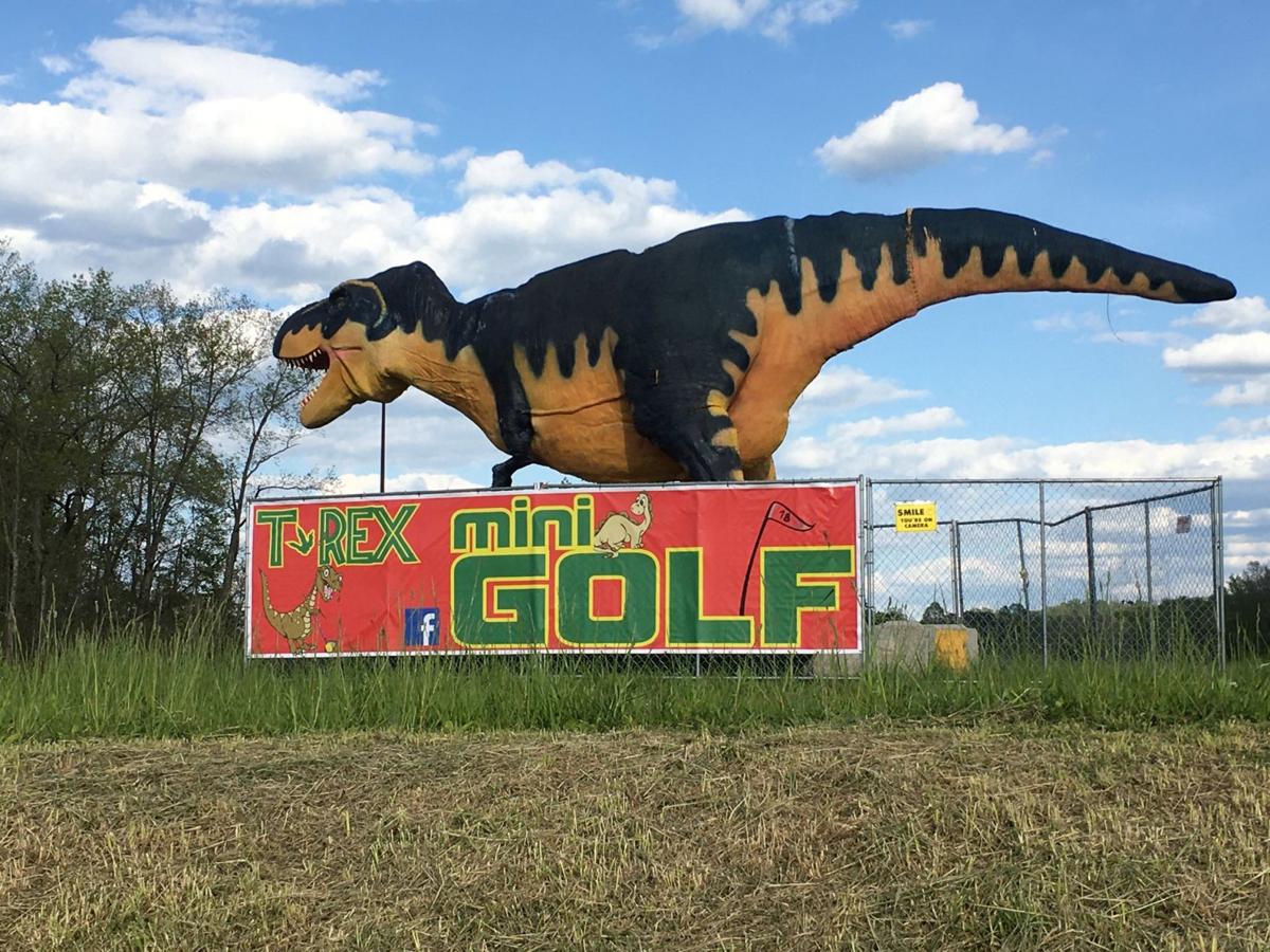 Teeing Up With T Rex Metro Kanawha Wvgazettemail Com