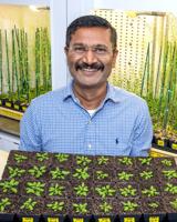 WVSU researcher awarded $1.2 million NSF grant
