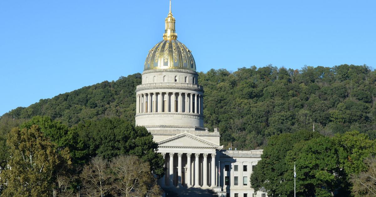 Harold Branam: Redistricting is the road to one-party rule (Opinion)