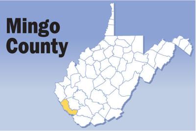 Mingo County map
