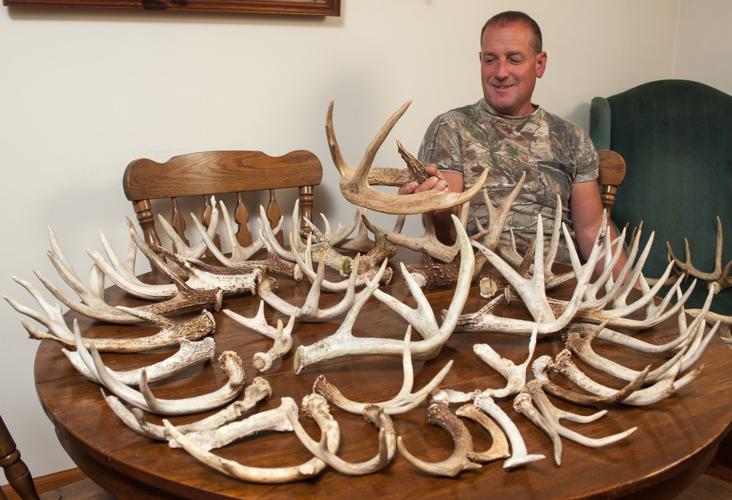 Finding deer antlers is W.Va. man’s wintertime hobby Sports